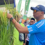 Pesta Panen Lampung